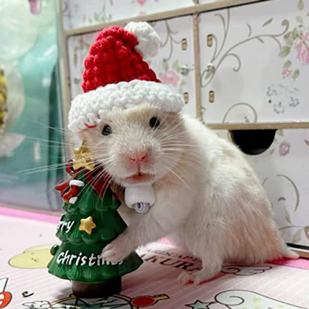 Hand Woven Pet Christmas Hat D - đánh giá và giá Santa Hat Plush