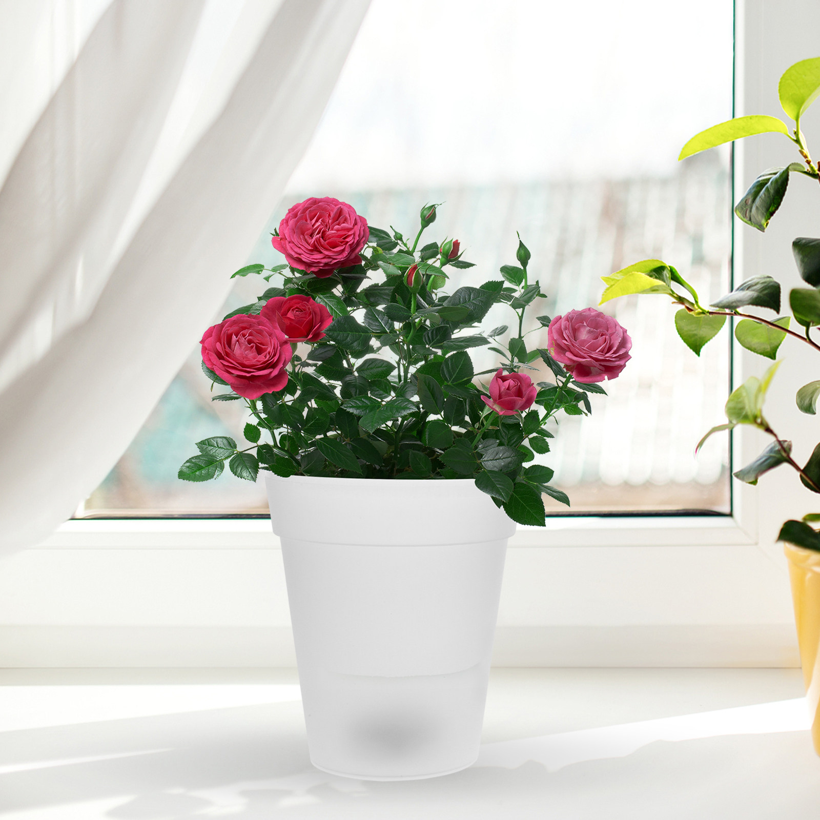 Flowerpot Solar Light Outdoor  - đánh giá và giá Christmas Lights Outdoor