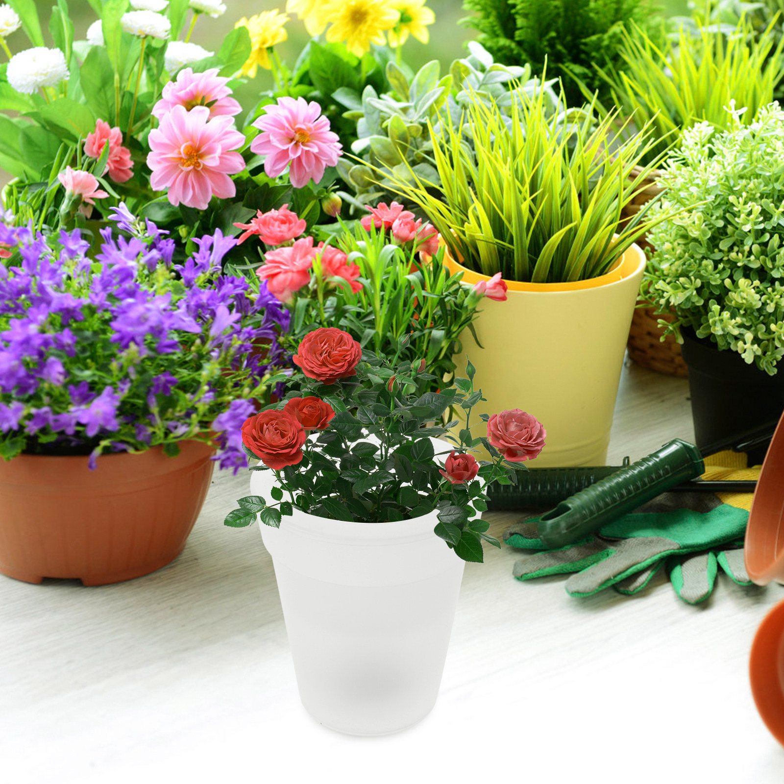 Flowerpot Solar Light Outdoor  - đánh giá và giá Christmas Lights Outdoor